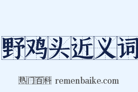 野鸡头近义词是什么意思的图片